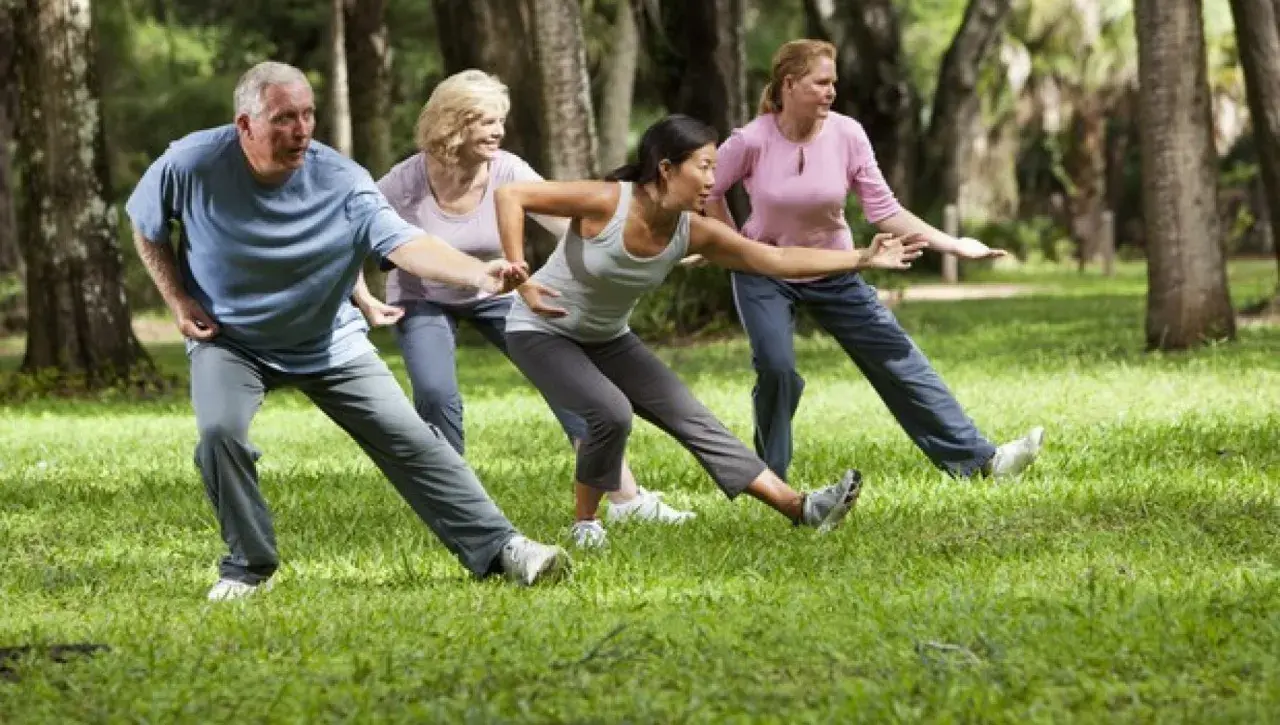 Gruppo di persone pratica tai chi in un parco, con movimenti fluidi e concentrati tra gli alberi.