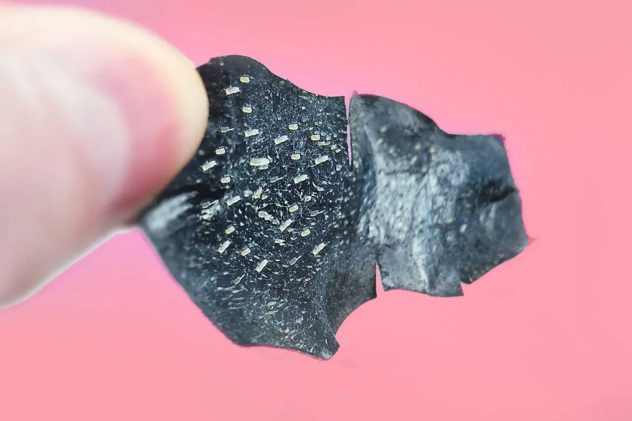 Un dito tiene un pezzo di maschera nera, piena di punti neri rimossi.