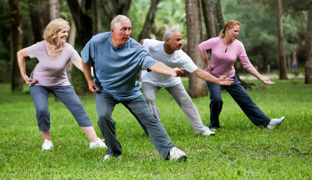 Un gruppo di anziani pratica tai chi in un parco, muovendosi con grazia tra gli alberi.